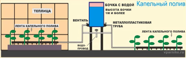 Схема установки капельного полива