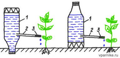 Прикопайте пластиковую бутылку на участке и на неделю забудьте о поливе: лайфхак для дачников
