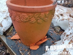 глиняный садовый горшок треснул после зимы