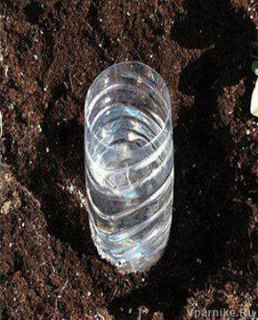 Пластиковая бутылка: проблемы и решения
