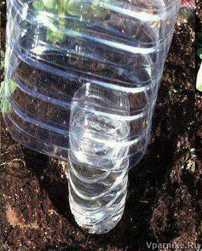 Капельный полив из пластиковых бутылок. Самый лучший способ